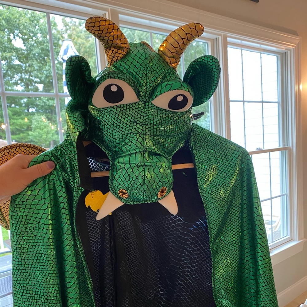 Dragon Halloween Costume!